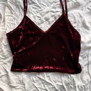Women's Burgundy and Red Crop-top